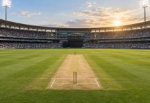 Tech-Driven Strategies Propel England to T20 Sweep, Claim Top Ranking